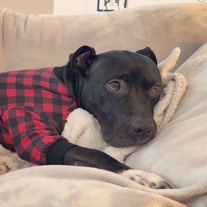 Meet your Posher, Janelle